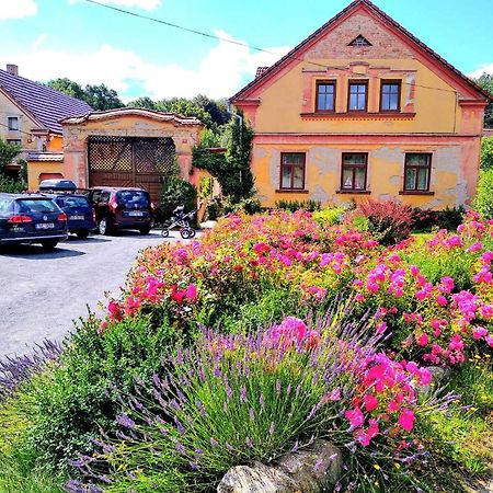 Apartmany Kosov 2 Bor Екстер'єр фото